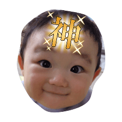 piko_20241215090115