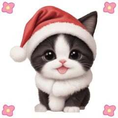 cute Hachiware cat winter Sticker