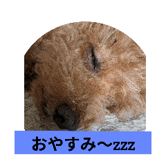 PONTA_20241215095757
