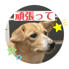 asagin_20241215151721