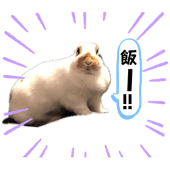 tanaka_20241215141642