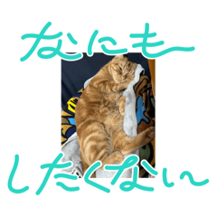 Erika_20241215154311