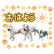 ogachan_20241215155311
