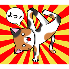 dancing cat!