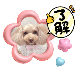 miki_20241215172323