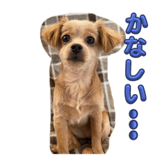BeBe_20241215173022