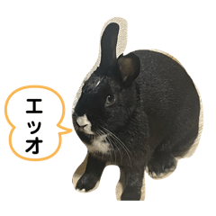 akira_20241215201932
