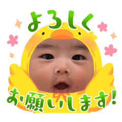 non_20241215204214