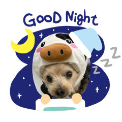 mimi_20241215205005