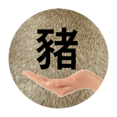 台中奇異果