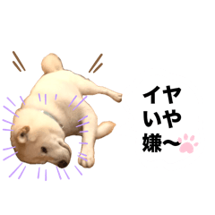 mie_20241215210103