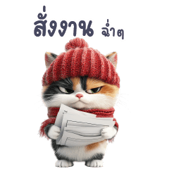 cute cat: merry christmas & new year.