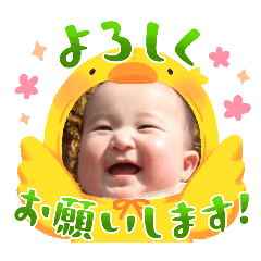 msyrk_20241215215009