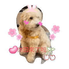 動物貼圖（夢幻版）