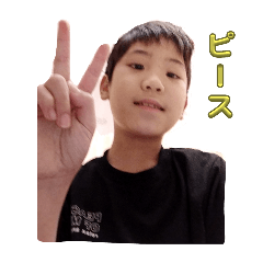 ai_20241215164518