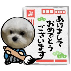 YUKI_20241215164841