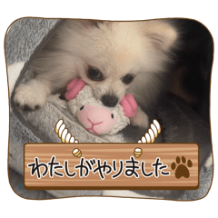 ms_20241216004040