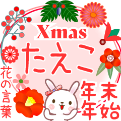 Xmas◆年末年始・正月●花の言葉◇たえこ