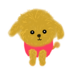 [Moving] Cute Toy poodle Love-chan