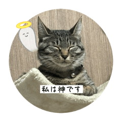 T.K_20241215232810
