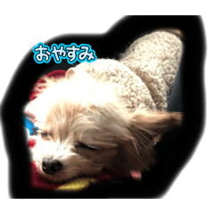Moo_20241215233712