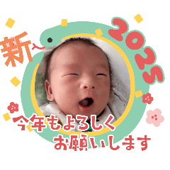 mai_20241216093904
