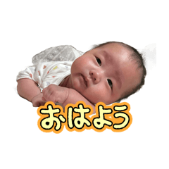 Hikaru_20241216220115