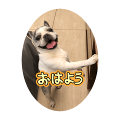 ai_20241216122807