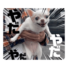 NONO_20241216192729