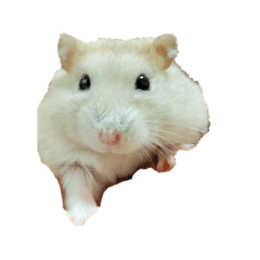 aiueo_20241216114657