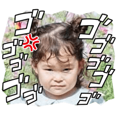 mainichimomoka0826
