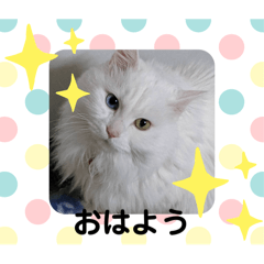 akiko_20241216195444