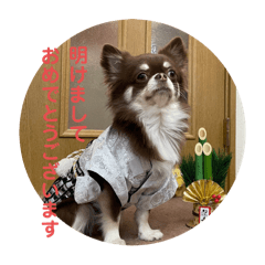 nao_20241216220033