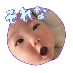 puku_20241216152612