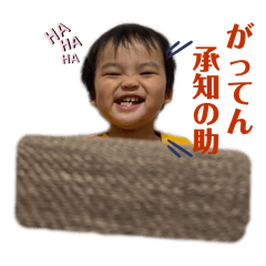 mai_20241216213102