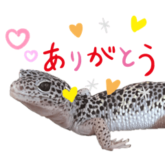 nao_20241216200831