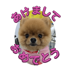sakurako_20241217070618