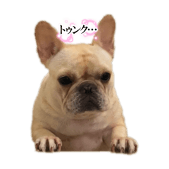manmaru_20241217082818
