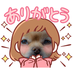 romuta_20241217115250