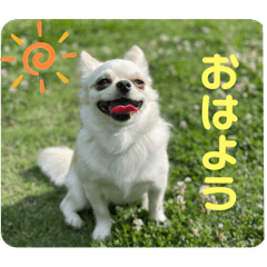 NOZOMI_20241217125437
