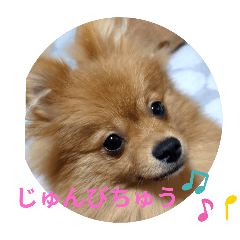 yukie_20241217101754