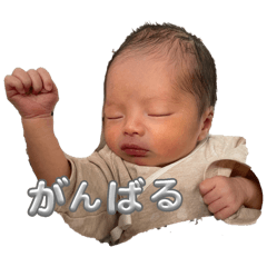 mi._20241217130200