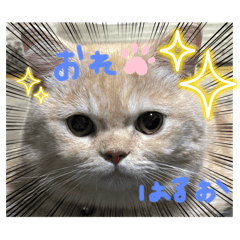 KIM_20241216225211