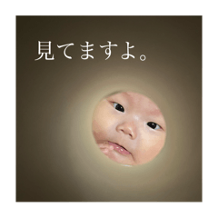 nao_20241216212650