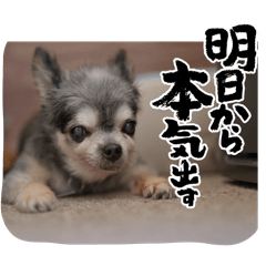 nao_20241217122540