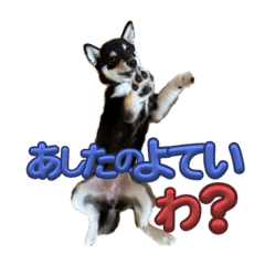 choco_20241217143516