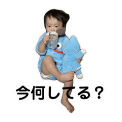 tonton_20241217133706