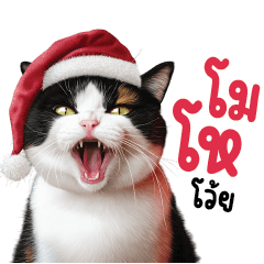 .. Santa Meow...Meow ..