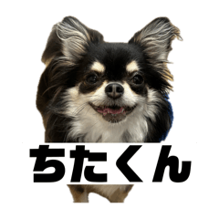 chichi6
