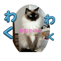 Nyanko_20241217143254